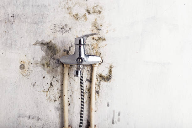 Best Residential Mold Remediation in Two Rivers, WI